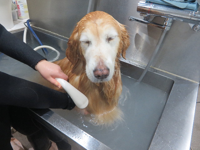 ファイル 6095-5.jpg