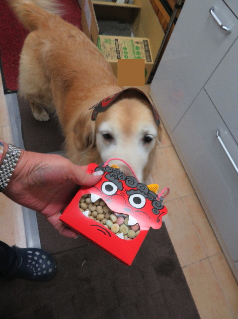 ファイル 6097-1.jpg