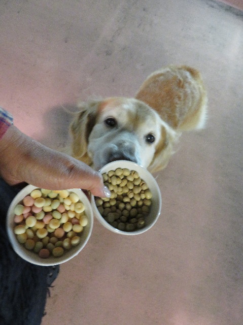 ファイル 6097-2.jpg