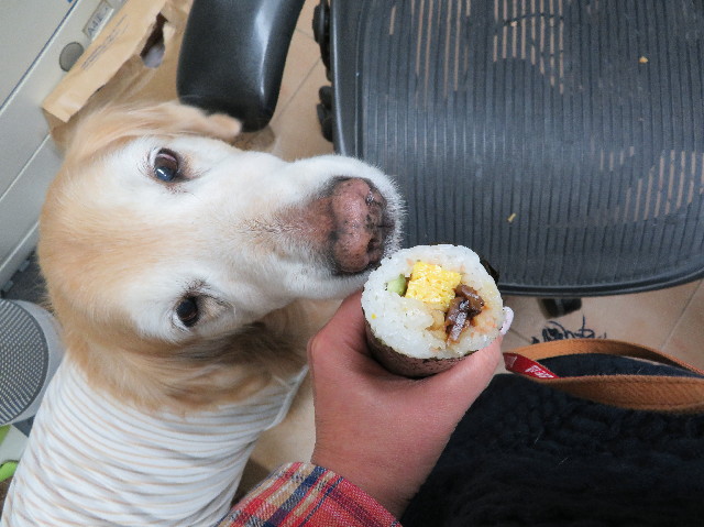 ファイル 6097-3.jpg