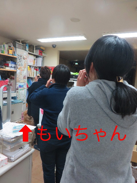 ファイル 6097-4.jpg