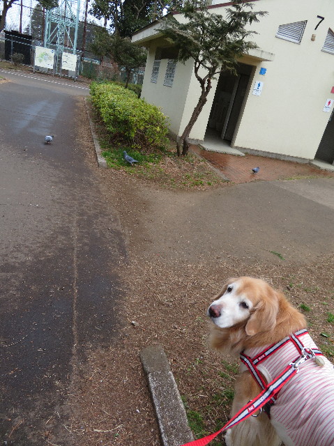 ファイル 6099-3.jpg