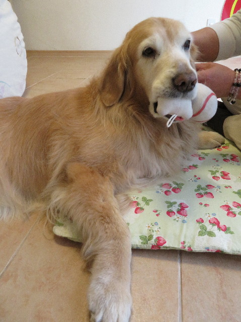 ファイル 6099-4.jpg