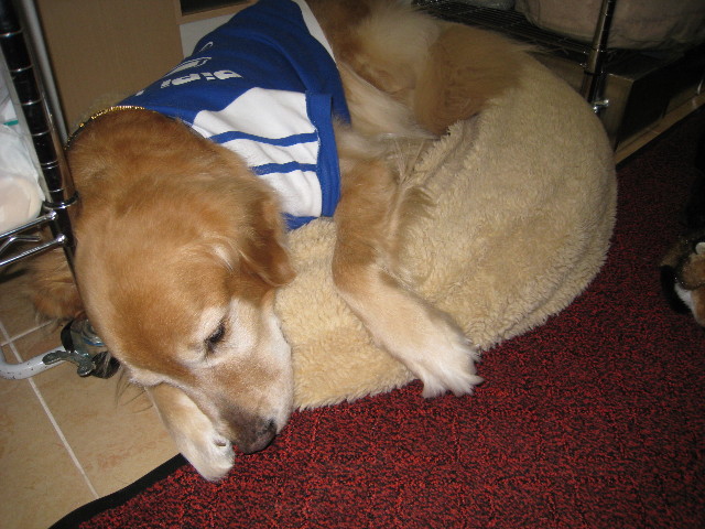 ファイル 610-2.jpg