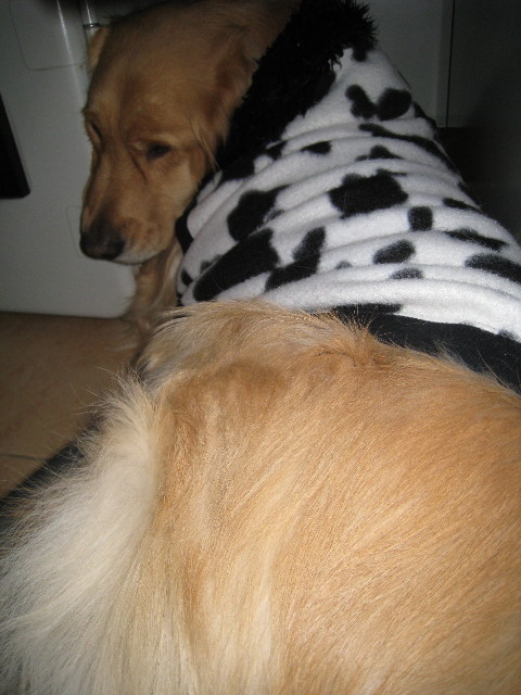 ファイル 610-5.jpg