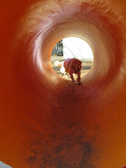 ファイル 6100-5.jpg