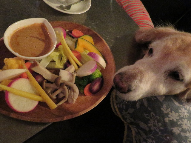 ファイル 6101-2.jpg