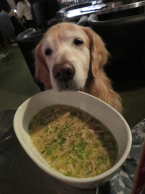 ファイル 6101-3.jpg