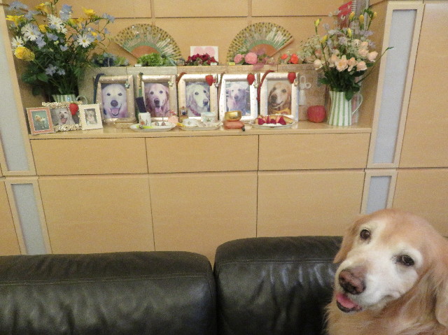 ファイル 6101-4.jpg