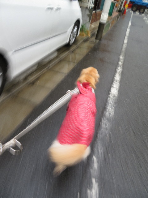 ファイル 6103-3.jpg