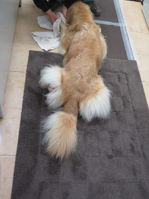 ファイル 6103-4.jpg