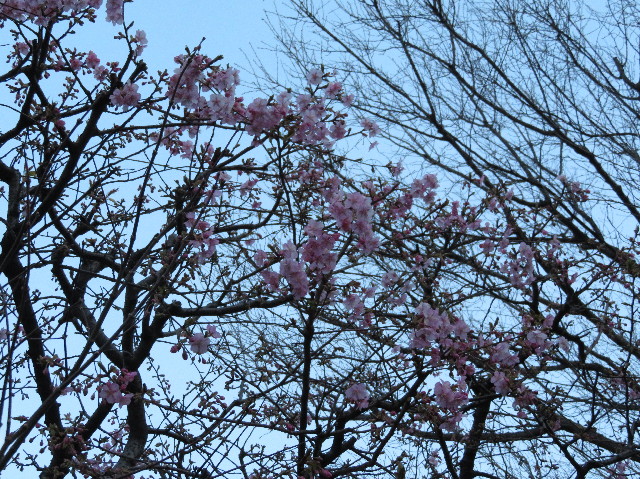 ファイル 6103-5.jpg