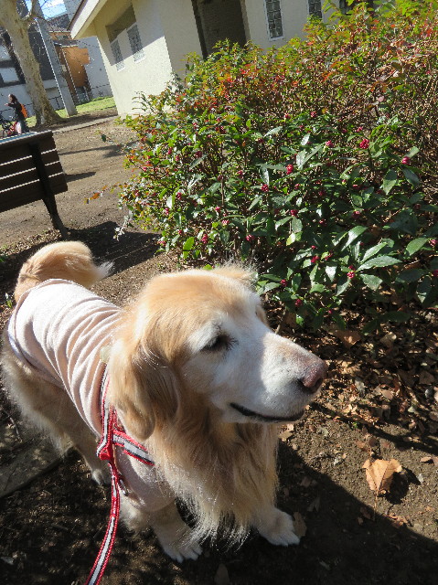 ファイル 6105-1.jpg