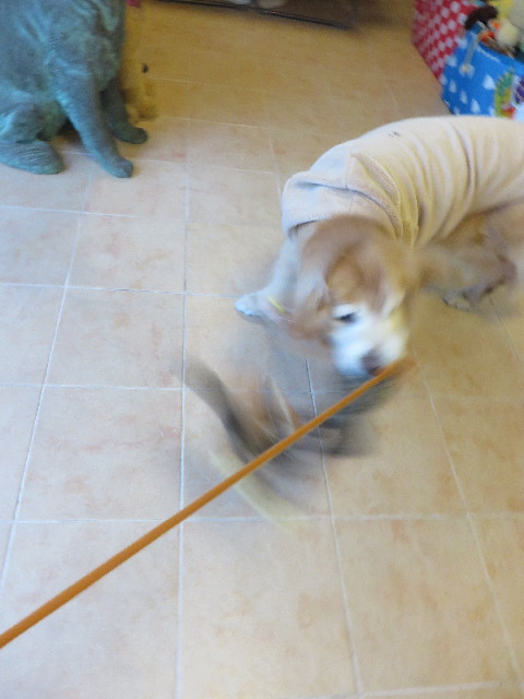 ファイル 6105-2.jpg