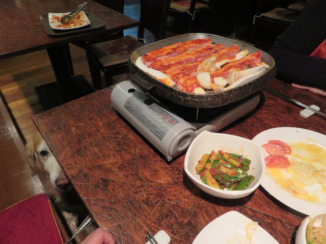 ファイル 6105-5.jpg