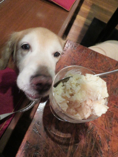 ファイル 6106-3.jpg