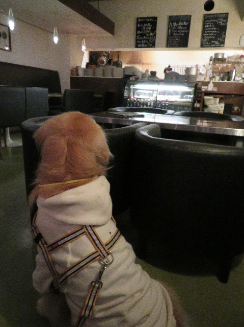 ファイル 6106-5.jpg