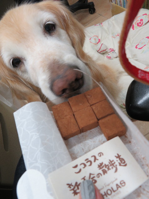 ファイル 6109-1.jpg