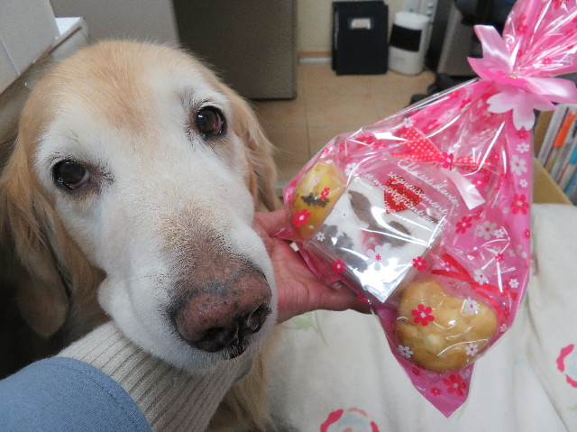 ファイル 6109-2.jpg