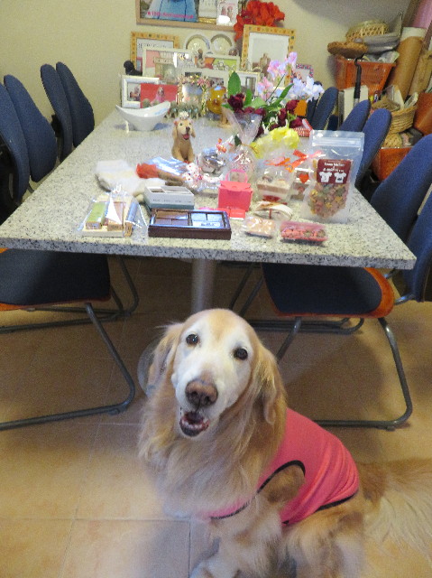 ファイル 6109-3.jpg