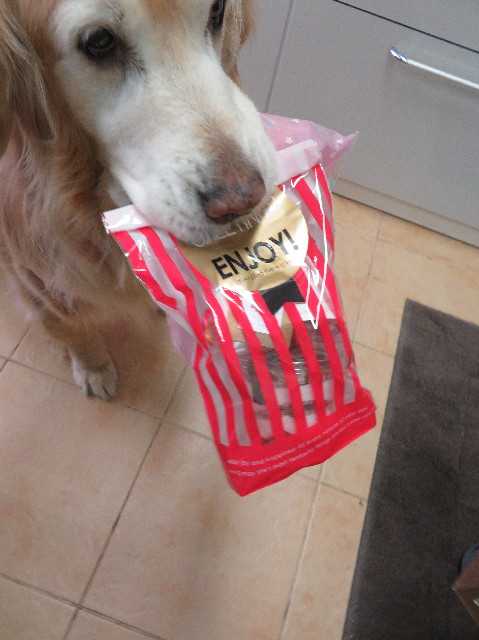 ファイル 6109-4.jpg