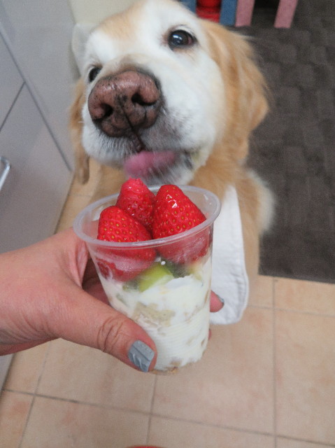 ファイル 6109-5.jpg