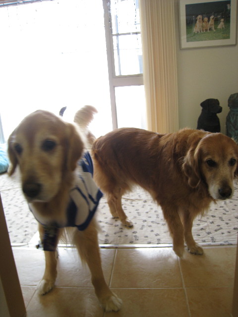 ファイル 611-2.jpg