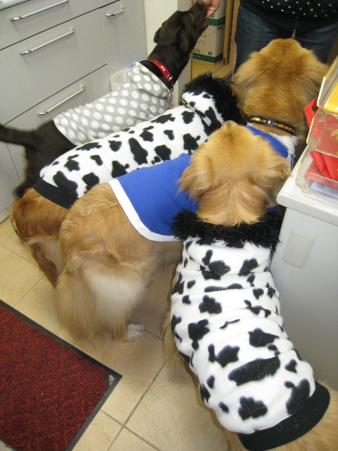 ファイル 611-3.jpg