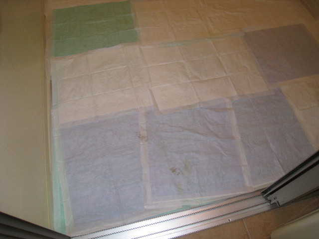 ファイル 611-4.jpg