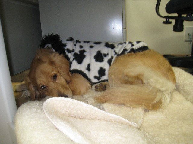 ファイル 611-5.jpg