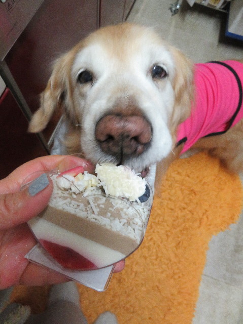 ファイル 6110-1.jpg