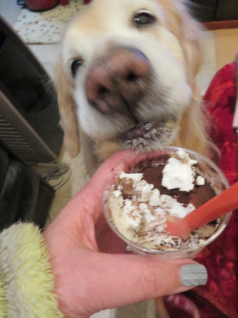 ファイル 6110-2.jpg