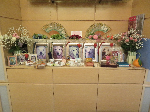 ファイル 6110-3.jpg