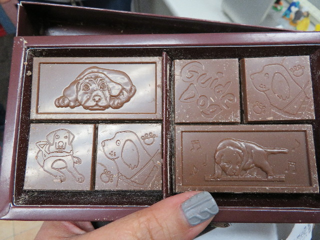 ファイル 6110-4.jpg