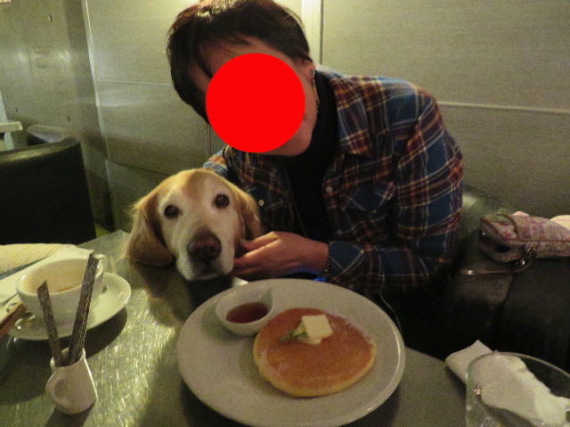 ファイル 6112-1.jpg