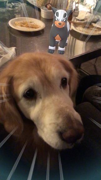 ファイル 6112-3.jpg