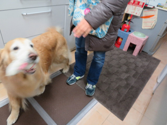 ファイル 6112-5.jpg