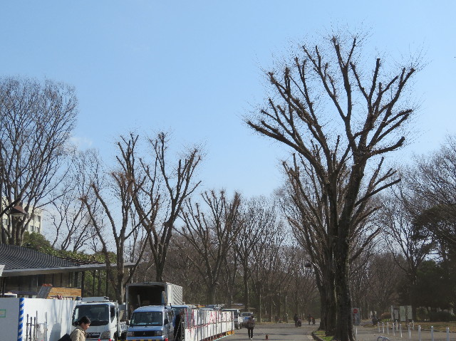 ファイル 6116-1.jpg