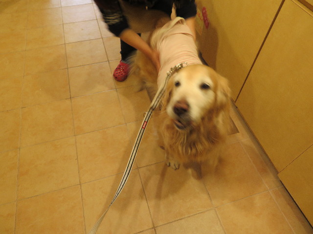 ファイル 6116-2.jpg