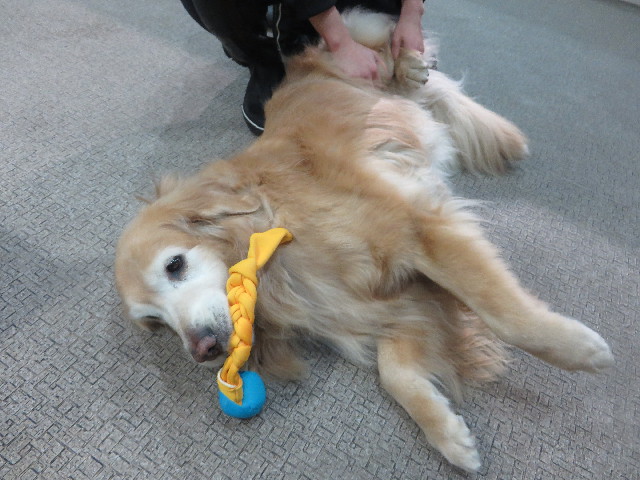 ファイル 6116-3.jpg