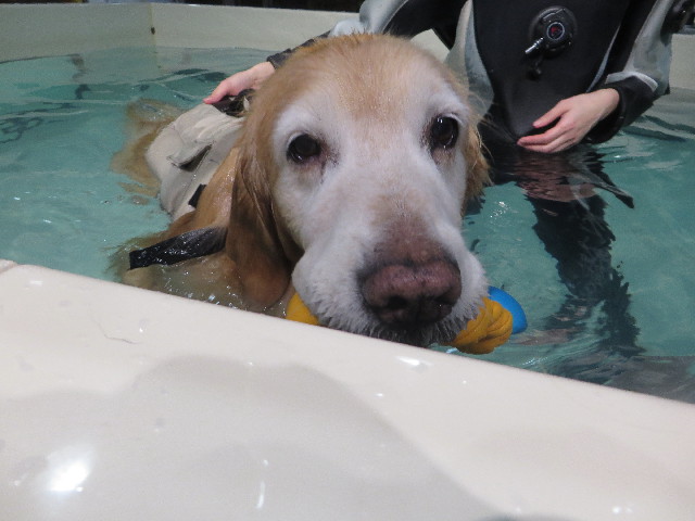 ファイル 6116-4.jpg