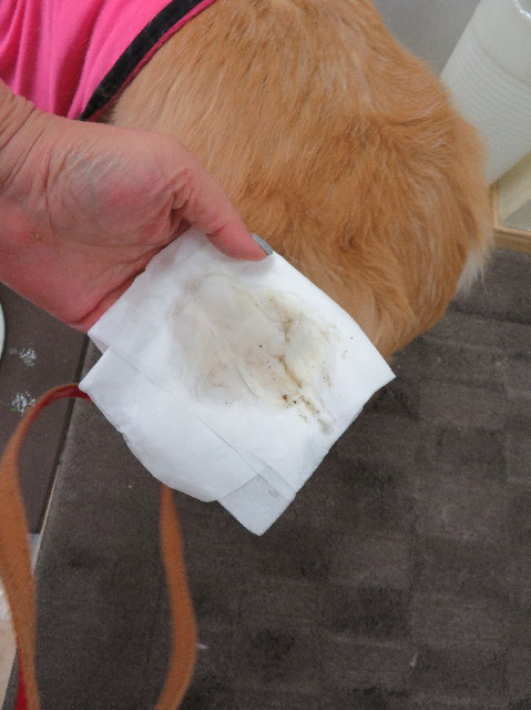 ファイル 6118-2.jpg