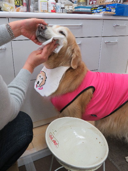 ファイル 6118-4.jpg