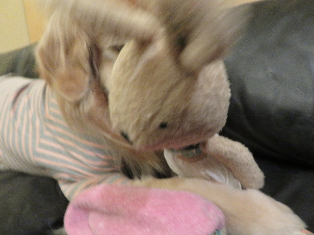 ファイル 6119-4.jpg