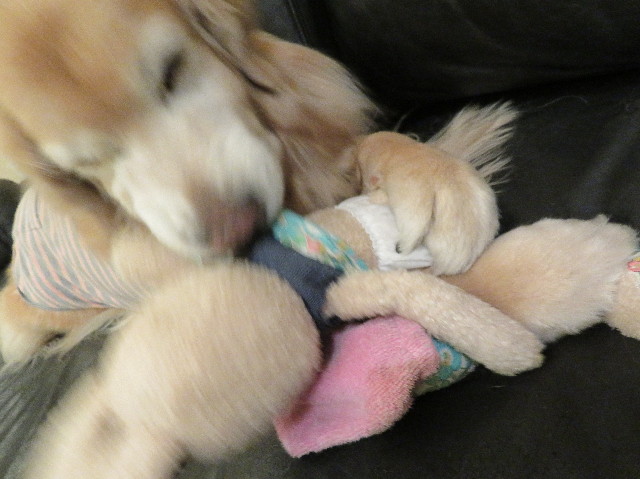 ファイル 6119-5.jpg