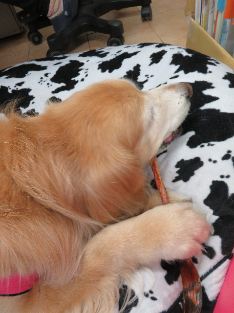 ファイル 6123-2.jpg