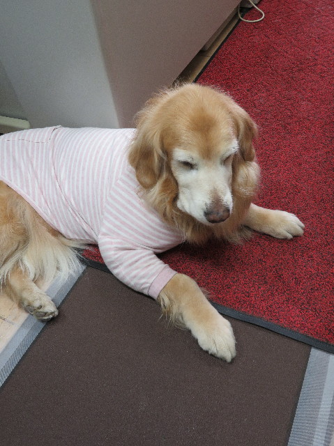 ファイル 6123-4.jpg