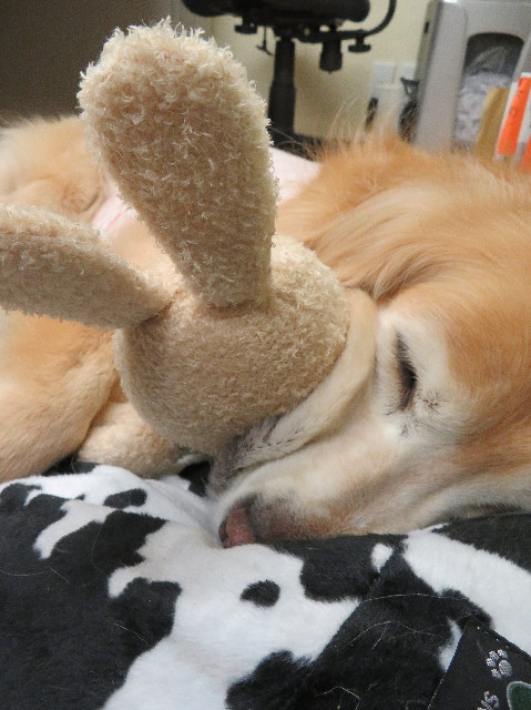 ファイル 6126-1.jpg