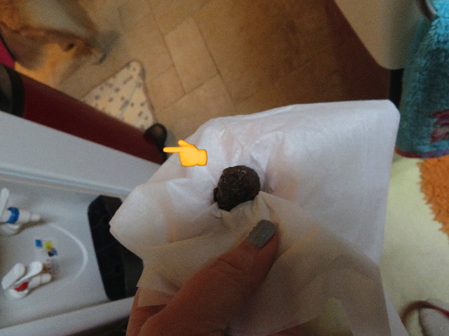 ファイル 6126-4.jpg