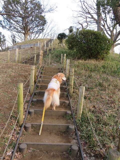 ファイル 6127-2.jpg